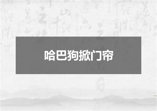 哈巴狗掀门帘