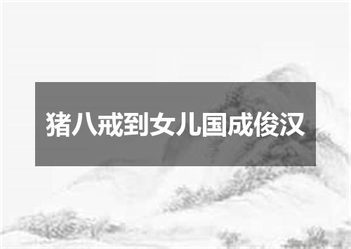 猪八戒到女儿国成俊汉