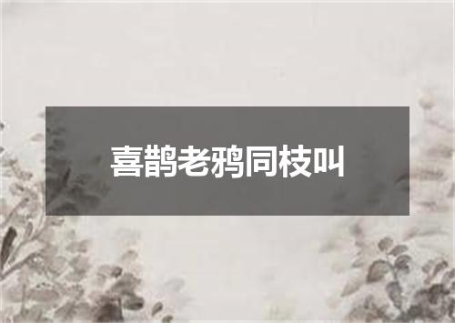 喜鹊老鸦同枝叫