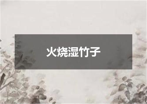火烧湿竹子