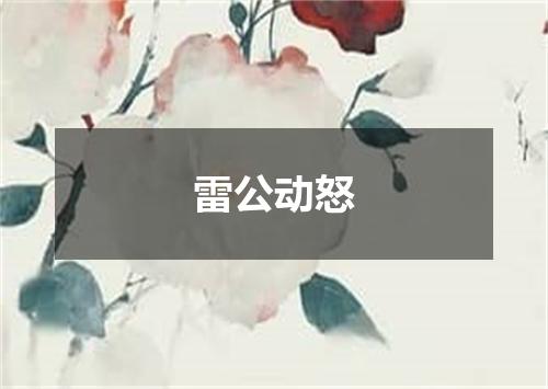 雷公动怒